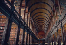 Ile zarabia bibliotekarz?