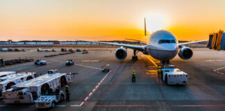 Jak dostać się do służby celno-skarbowej