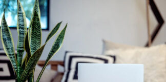 Jak zostać administratorem biurowym