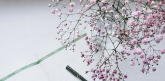 influencer ile zarabia