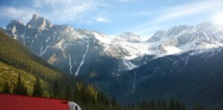 firma transportowa jak założyć