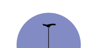 terapeuta zajęciowy studia