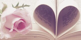 wedding planner zarobki