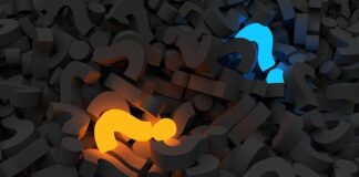 ankieter wynagrodzenie