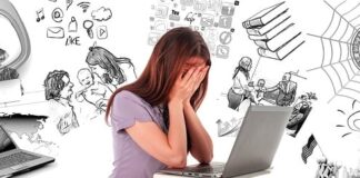 windykator jak zostać