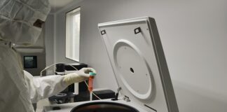 Co to jest bioinżynieria zwierząt?