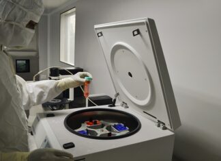 Co to jest bioinżynieria zwierząt?