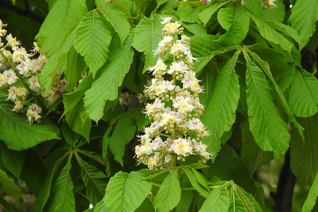 Ile trzeba mieć procent na maturze aby dostać się na filologie angielska? Ile trzeba mieć procent na maturze aby dostać się na filologie angielska?
