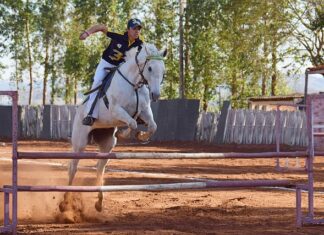 Jak wyznaczyć równanie linii trendu?