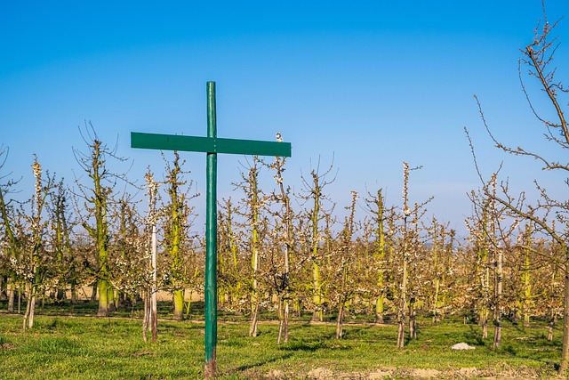 Czy musi być regulamin pracy zdalnej? Czy musi być regulamin pracy zdalnej?