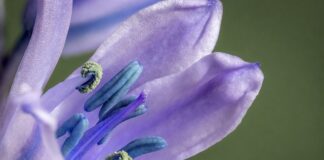 Czym się różni mikro od makro?