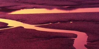 Jak wyszczuplić twarz w telefonie?