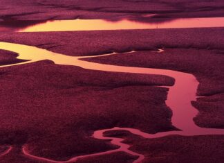 Jak wyszczuplić twarz w telefonie?