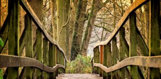 Jaka gra dla dwulatka?