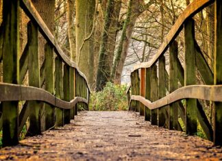 Jaka gra dla dwulatka?