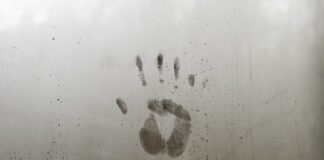 Kto jest odpowiedzialny za identyfikację ryzyka?