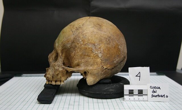 Co po antropologii kulturowej? Co po antropologii kulturowej?