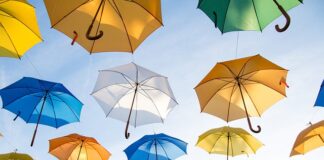 Czy animacją to grafika?