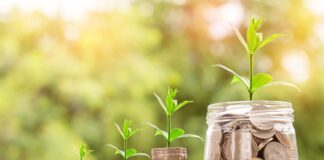 Jaki rynek obsługuje firma?