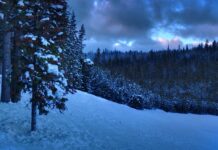 Co daje licencjat z filologii angielskiej?