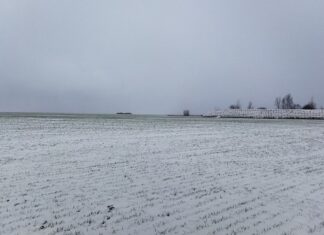 Kto ocenia wartość domu?