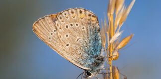 Czy po biologii jest praca?