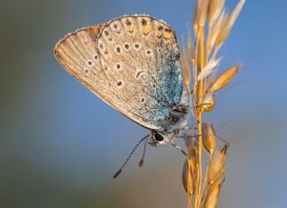 Czy po biologii jest praca?
