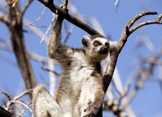 Co to są zachowania rynkowe?