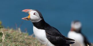 Jak znaleźć swoje powołanie zawodowe test?