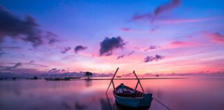 Czy picie wlicza się do kalorii?