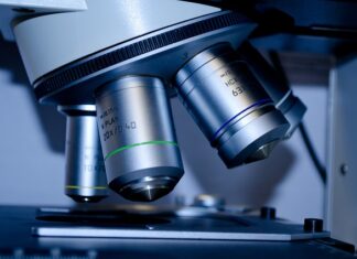 Jakie można przeprowadzić badania przed wprowadzeniem nowego produktu na rynek?