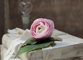 Jak obliczyć Zobowiązania krótkoterminowe?