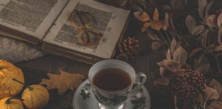 Jak czytać Wskaźnik cena zysk?