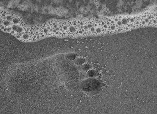 Ile kroków to ile kalorii?