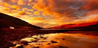 Kto wycenia majątek?