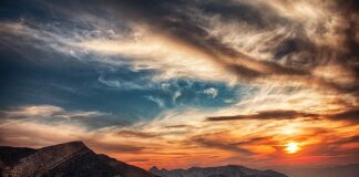 Ile kosztuje godzina pracy animatora?