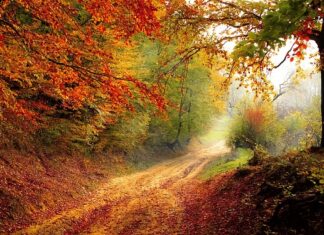 Na jaki dzień ustala się wartość spadku?