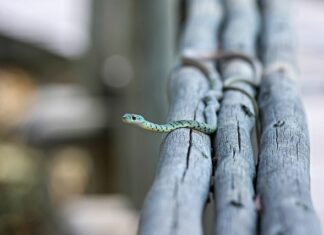O czym mówi linia trendu?