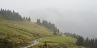 Dlaczego Krzywe obojętności nie mogą się przecinać?