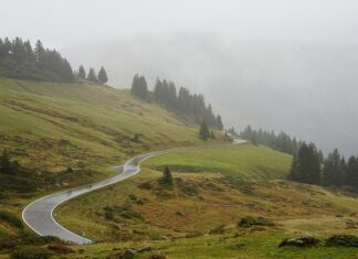 Dlaczego Krzywe obojętności nie mogą się przecinać?