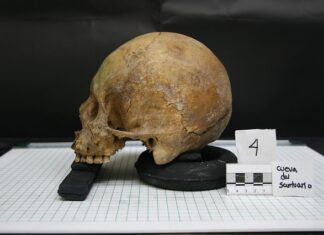 Gdzie studiować Antropologie?