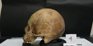 Co bada tą nauka antropologia?