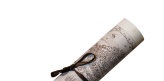 Ile kosztuje certyfikat HACCP?