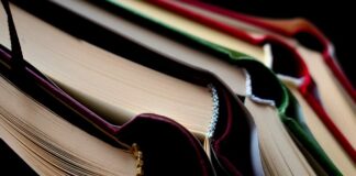 Na czym polega szkolenie HACCP?