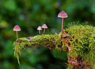 Jakie są rodzaje kosztów?