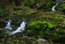 Z jakich rodzajów źródeł informacji korzysta klient poszukując informacji o produkcie?