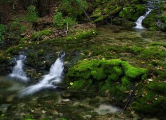 Z jakich rodzajów źródeł informacji korzysta klient poszukując informacji o produkcie?