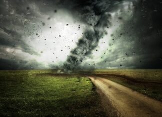 Po czym poznać zmianę trendu?