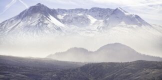 Jak sprawdzić stan finansowy firmy?