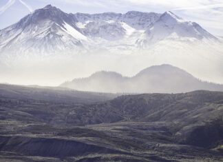 Jak sprawdzić stan finansowy firmy?